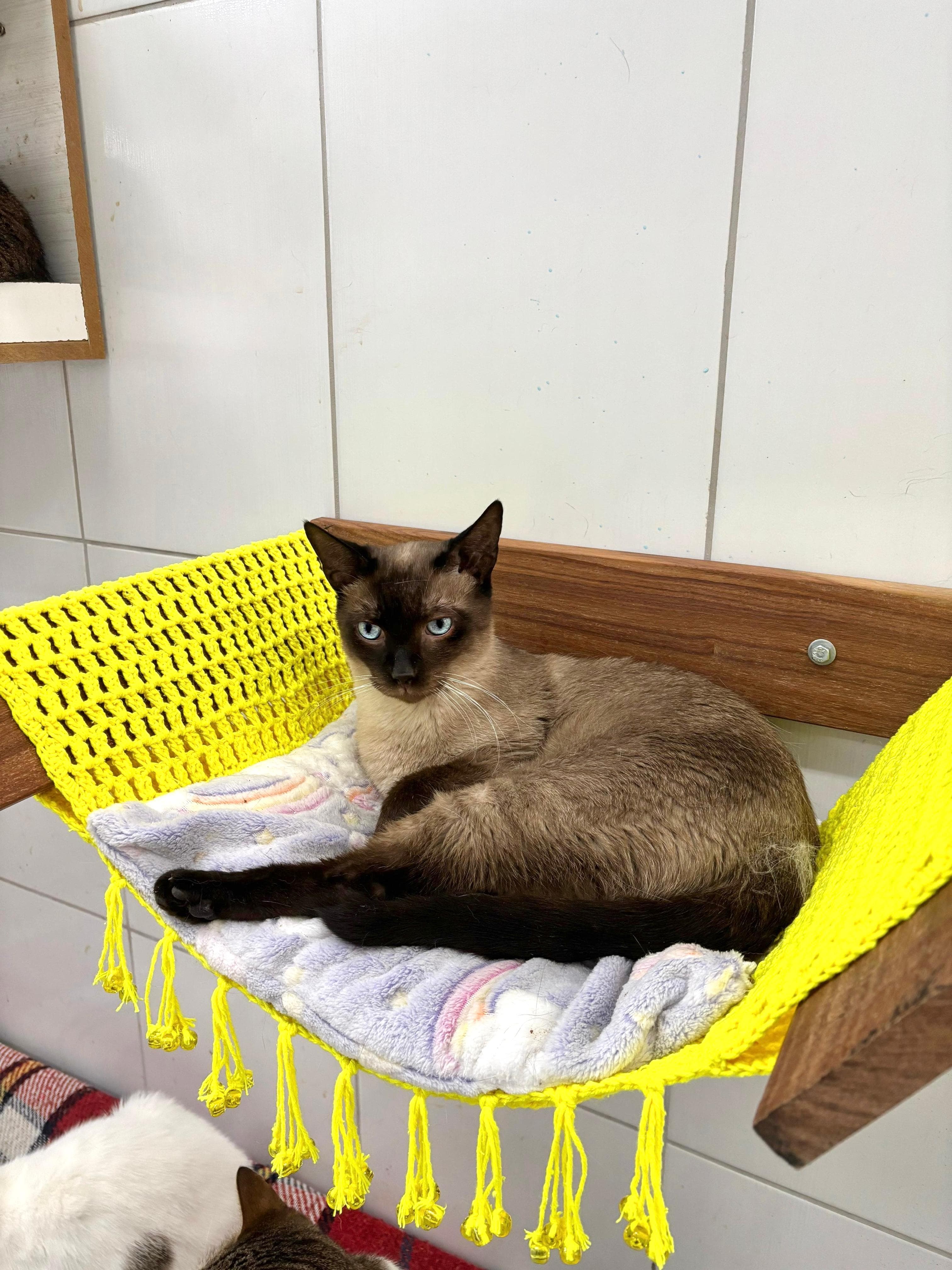 Vitório